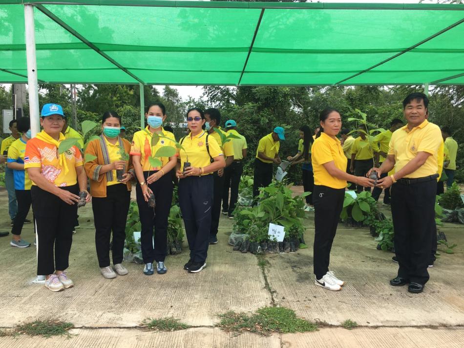 โครงการ 1 คน 1 กล้า คืนพื้นที่สีเขียวให้ธรรมชาติ สร้างชุมชนให้มีชีวิต 