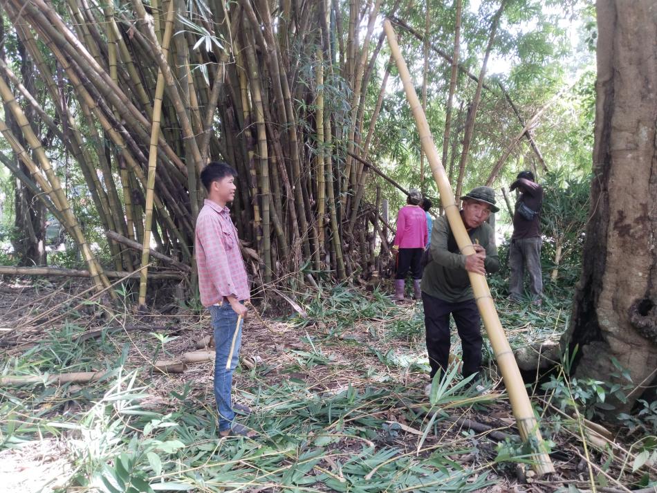 กองช่างเทศบาลตำบลเหล่าปอแดง ได้รับมอบหมายจาก นายลำไพ งิ้วพรม นายกเทศมนตรีตำบลเหล่าปอแดง ออกตัดไม้ไผ่ เพื่อเตรียมความพร้อมในการทำจุดเช็คอิน บริเวณเทศบาลตำบลเหล่าปอแดง